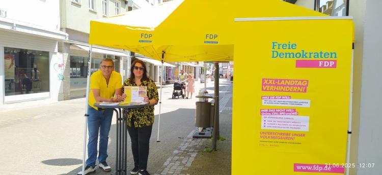 FDP Ortsverband Kirchheim-Weilheim-Lenninger Tal